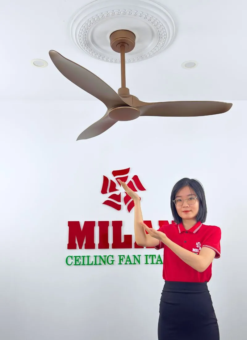 Quạt trần 3 cánh FY533 dễ dàng lắp đặt ở nhiều không gian nội thất.